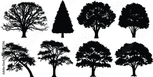 Tree silhouette vector set, black forest nature collection, oak pine elm illustration isolated on white background, garden plant icons, landscape design elements