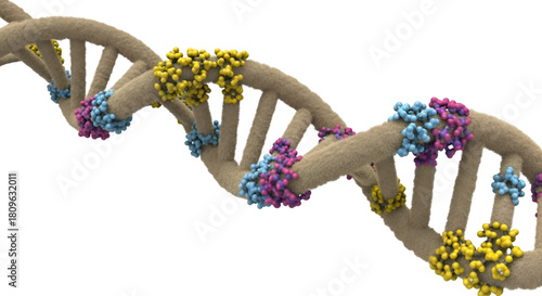 3DNA Double Helix with Colorful Molecular Structures