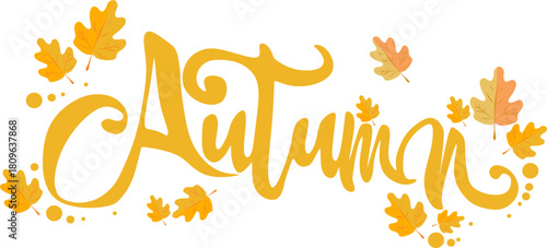vector image autumn lettering, lettering, vector image autumn leaves, several autumn leaves on a white background, image without background leaves, nine leaves, autumn, autumn image, maple leaves, oak