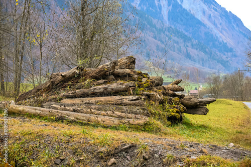 Pile of old fallen tree trunks covered with moss in a grassy alpine valley, creating a rustic natural scene with mountains in the background.