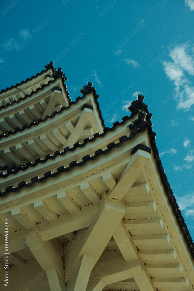 Obraz premium Himeji castle, Himeji, Japan