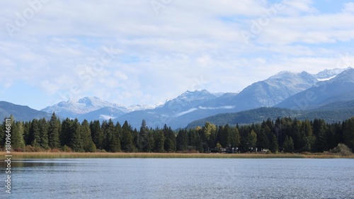 pine trees lined up on the opposite side of the lake in Rainbow Park, Whistler, British Columbia, Canada on a good weather blue sky day and snow on mountain
