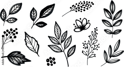 Vector Illustration of Hand Drawn Botanical Leaves and Branches Set for Nature and Organic Design Elements