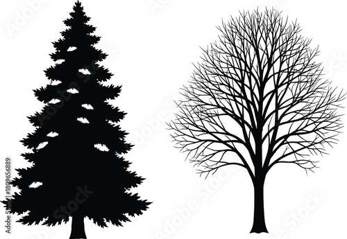 Set of black tree silhouettes including evergreen pine and bare deciduous tree without leaves, isolated vector nature illustration.