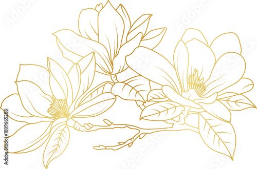 Golden magnolia flowers line art isolated on white background. Luxury magnolia floral design elements for invitation, wedding, wallpaper, print template, vector illustration