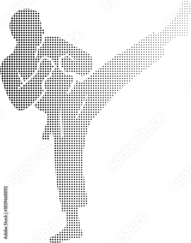 dotted halftone silhouette of a martial artist executing a powerful high kick in midair