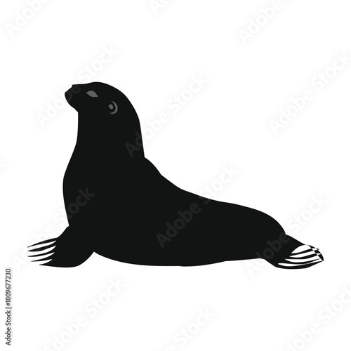 sea lion resting silhouette minimalist balanced design