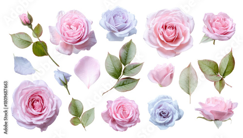 Delicate pink and lavender roses, leaves, and petals arranged in a horizontal pattern