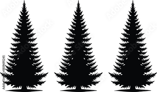 Set of pine tree silhouettes, evergreen forest shapes, black conifer outlines for nature design, winter landscape elements, decorative tree artwork