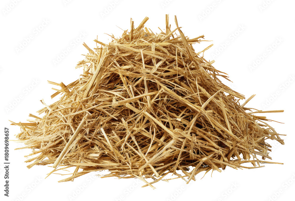 Fototapeta premium Pile of straw, light tan color, numerous dry stalks, randomly arranged, isolated on black