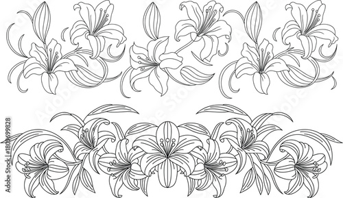 Elegant lily flower border line art illustration featuring decorative floral pattern, botanical outline design for coloring pages, invitations and nature themed artwork