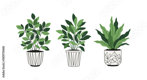 A set of three elegant indoor green houseplants in stylish geometric-patterned pots for modern home interior decor.