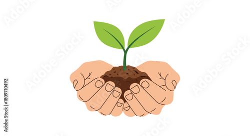 A pair of hands gently holding a small green sprout growing in a handful of soil for an ecology and growth concept.