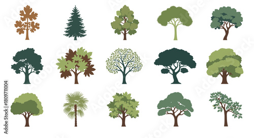 A diverse collection of fifteen different types of stylized trees including deciduous conifers and palms showcasing various shapes and shades of green.