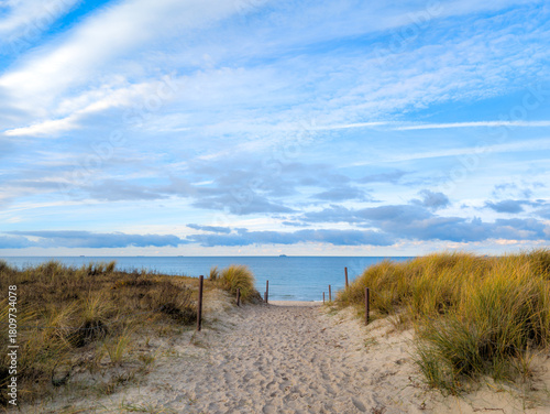 Fototapeta Naklejka Na Ścianę i Meble -  access to a lonely beach at the Baltic Sea near the city of Rostock (Germany)