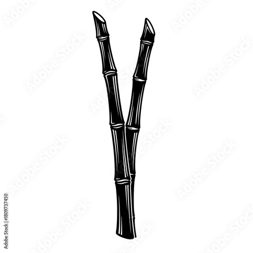 A Bold Black Silhouette of a Sugar Cane Stalk with Distinctive Nodes (2).
