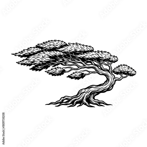 A dynamic black vector silhouette of a windswept bonsai tree (1).