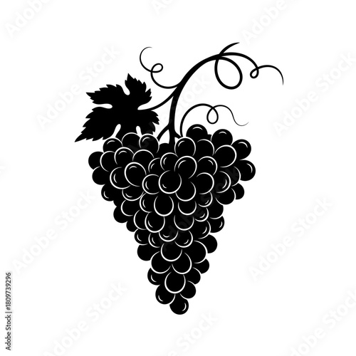 A Flowing Contour Silhouette of a Graceful Grape Cluster for Vineyard Logos (2).
