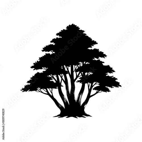 A harmonious black vector silhouette of a forest style bonsai group (2).