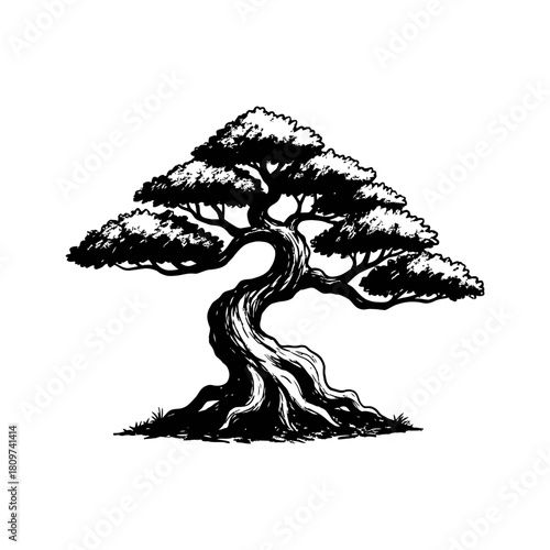 A resilient black vector silhouette of a resilient bonsai tree.