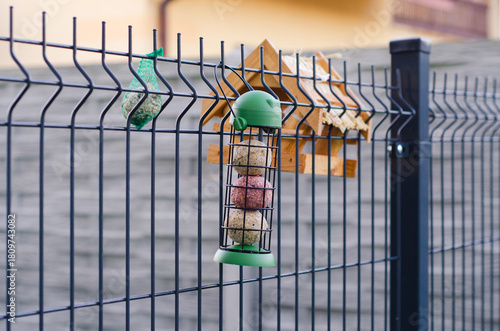 Cylindrical mesh bird feeder with fat balls hanging on a fence in a backyard garden next to a wooden birdhouse