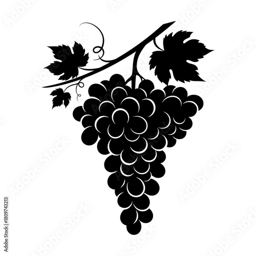 A Stylized Black Silhouette of a Branch of Plump Juicy Grapes.