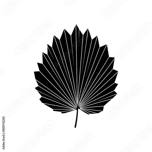 A Stylized Fan Palm Frond Silhouette in Sleek Modern Graphic Style for Logos (1).