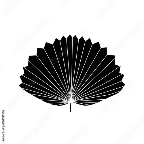 A Stylized Fan Palm Frond Silhouette in Sleek Modern Graphic Style for Logos (2).