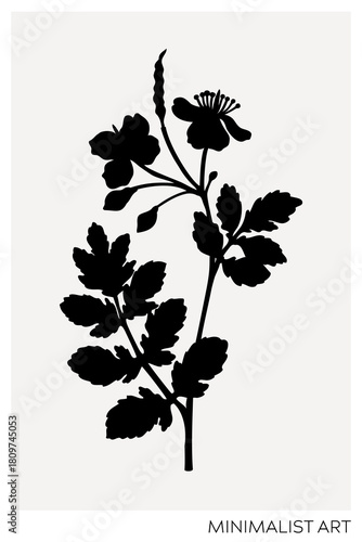 Greater celendine silhouette illustration. art botanical poster template. Trinket design element. NOT AI generated