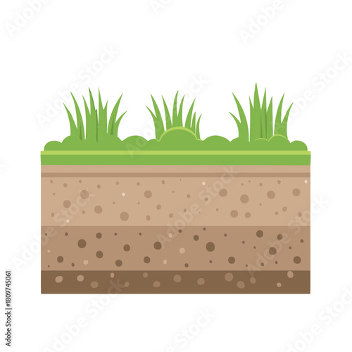 Soil layers with green grass, ground composition illustration, geological layers, earth texture, soil cutaway, land profile