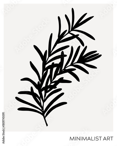 Rosemary silhouette illustration. art botanical poster template. Trinket design element. NOT AI generated