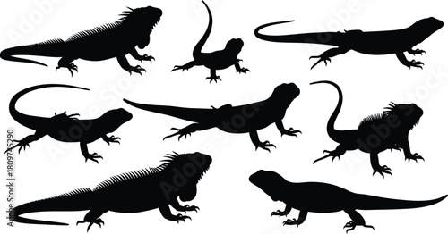 Lizard silhouette vector, reptile pose collection, black animal shape, iguana gecko artwork, wildlife design, exotic creature illustration, nature reference