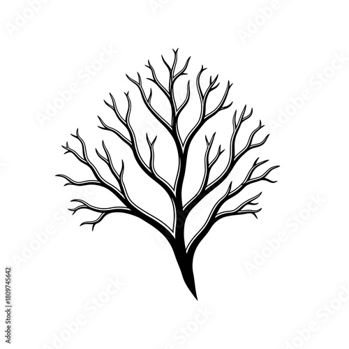 An Abstract Tree Branch Resembling a River Delta in Topographic Map Style (1).