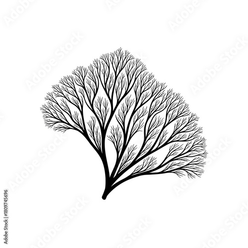 An Abstract Tree Branch Resembling a River Delta in Topographic Map Style (2).