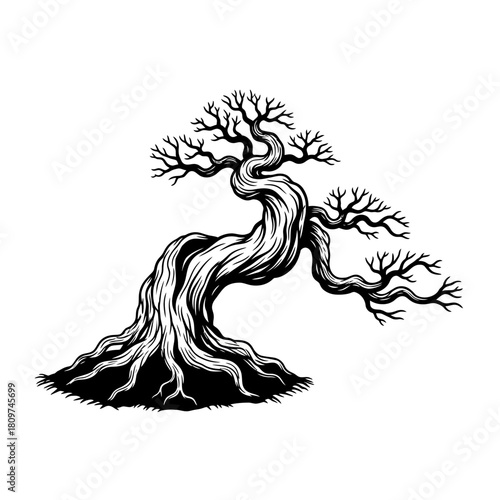 An ancient black vector silhouette of a gnarled bonsai tree.