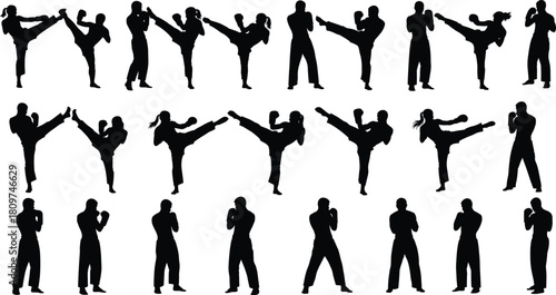 Martial, arts, silhouette, kick, punch, stance, fighter, training, karate, taekwondo, movement, action, black, figure, pose, discipline, sparring, strength, agility, defense