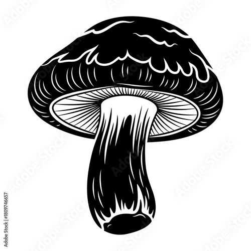 Organic Detailed Silhouette of a Shiitake Mushroom, Earthy and Distinctive (2).