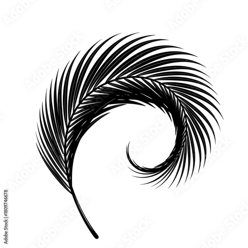 Pop Art Silhouette of a Single Palm Frond with Exaggerated Curves for Bold Graphics.
