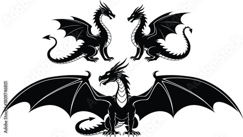 Majestic black dragon silhouettes with detailed wings and fierce poses, powerful fantasy creature vector illustration for mythology