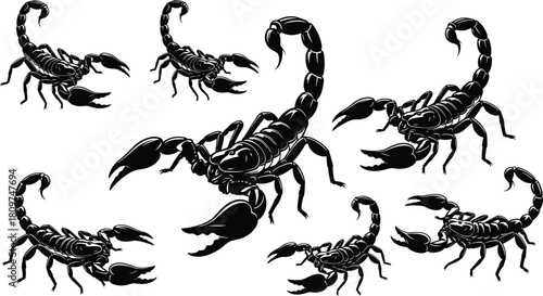 Webscorpion, insect, arachnid, silhouette, danger, wildlife, venom, predator, illustration, vector, creature, animal, sting, desert, graphic