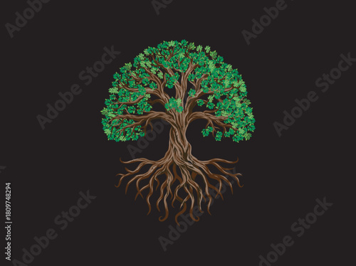 Olive Tree. Extra virgin olive oil symbol. Symbol of culture and Mediterranean food isolated on black background