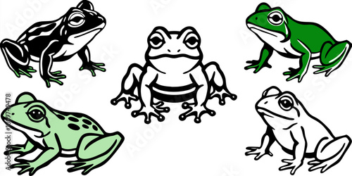 A collection of various frog illustrations is presented against a transparent background. The frogs exhibit a range of poses, including sitting, crouching, and extending limbs. The color palette inclu