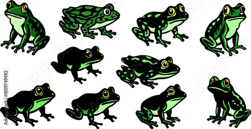 A collection of various frog illustrations is presented against a transparent background. The frogs exhibit a range of poses, including sitting, crouching, and extending limbs. The color palette inclu