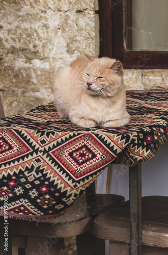 A ginger cat lies on a table covered with a tablecloth