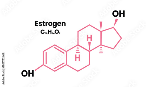 Chemical formula of estrogen molecular structure, line art design element. Vector formula of progesterone, menstrual cycle, pregnancy, and embryogenesis hormone chemical molecular formula.