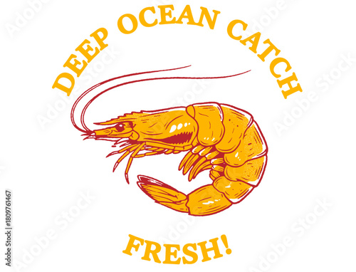 Vintage hand-drawn shrimp logo set. Retro engraved prawn illustrations with typography for seafood restaurant branding, menus, packaging, and fresh market labels.