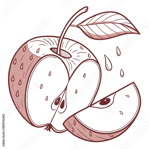 Illustration of a sliced apple with a leaf and water droplets in a simple outlined style drawing