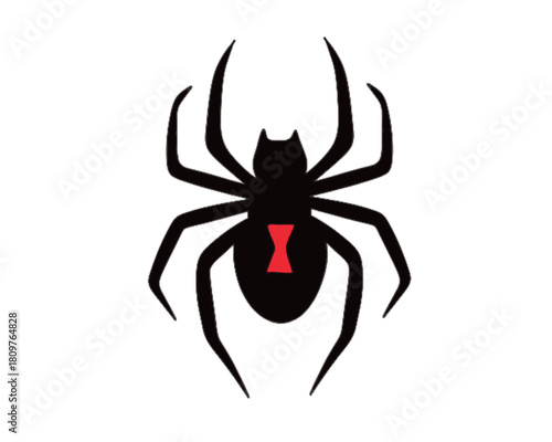 Black widow spider with red hourglass