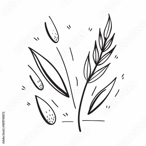 Hand drawn illustration of wheat plant isolated on