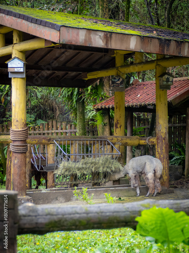 台北市立動物園